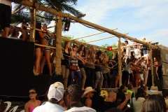 DSC06243